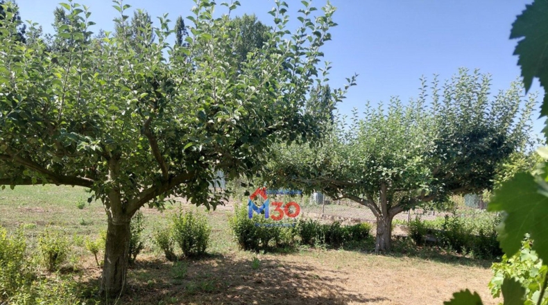 Burgos - Miranda de Ebro - 980m2