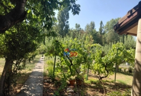Miranda de Ebro 980&nbsp;m²