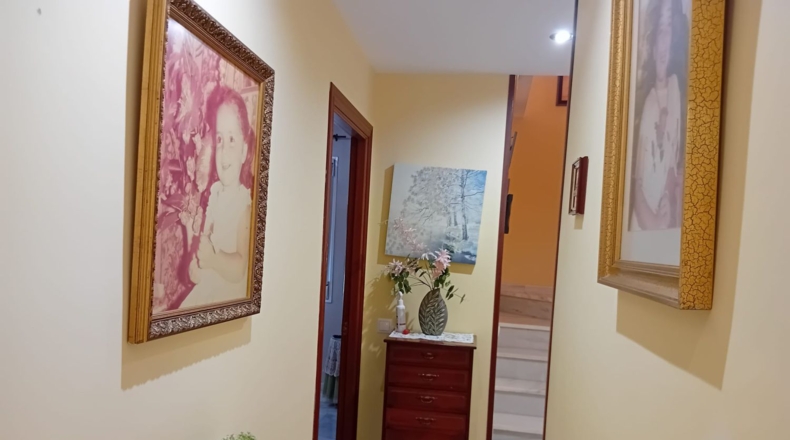 Malaga - Fuengirola - 244m2