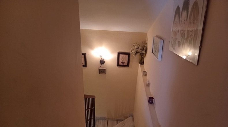 Malaga - Fuengirola - 244m2