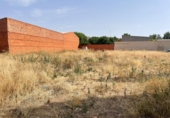 Non-developable land for sale in Moral de Calatrava ref: TR419197 photo