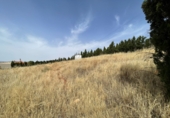 Rural estate for sale in Moral de Calatrava ref: TR419199 photo