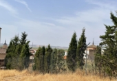 Rural estate for sale in Moral de Calatrava ref: TR419199 photo