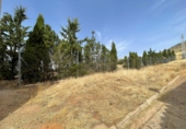 Rural estate for sale in Moral de Calatrava ref: TR419199 photo