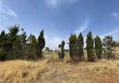 Rural estate for sale in Moral de Calatrava ref: TR419199 photo
