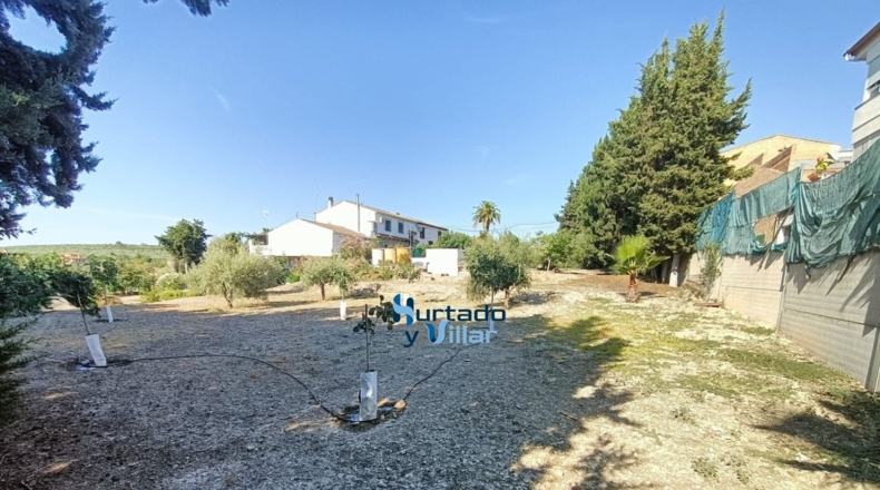 Jaén - Torreperogil - 2953m2