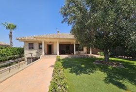 Molina de Segura 600&nbsp;m²