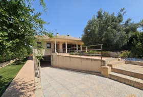 Molina de Segura 600&nbsp;m²