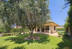 Molina de Segura 600&nbsp;m²