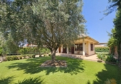 Chalet independiente con terreno en alquiler en Molina de Segura ref: TR263166 foto