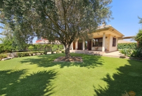 Molina de Segura 600&nbsp;m²