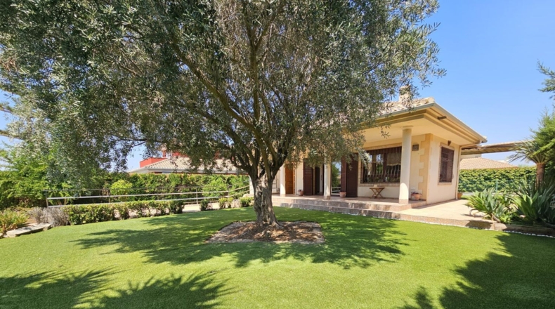 Múrcia - Molina de Segura - 600m2
