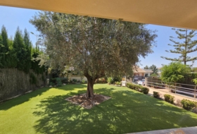 Molina de Segura 600&nbsp;m²