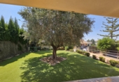 Chalet independiente con terreno en alquiler en Molina de Segura ref: TR263166 foto