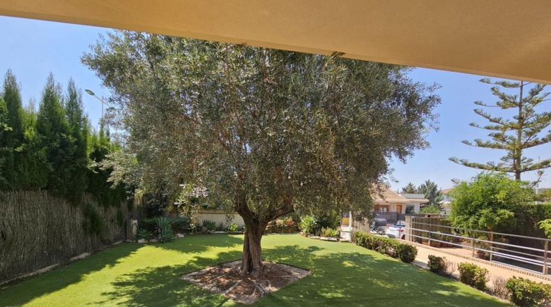Múrcia - Molina de Segura - 600m2