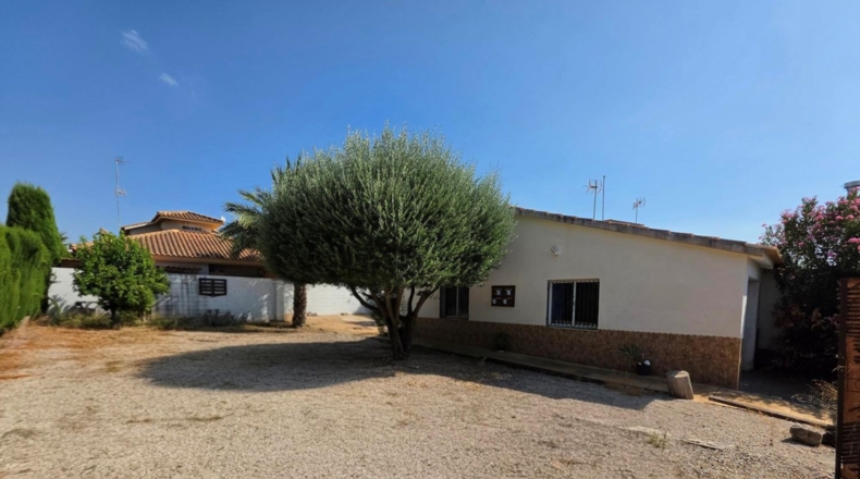 Murcia - Molina de Segura - 400m2