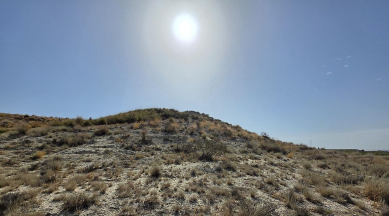 Murcia - Molina de Segura - 9214m2