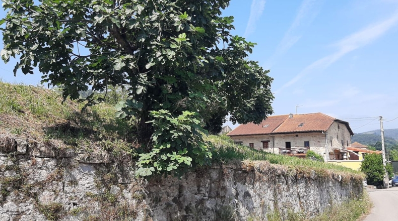 Cantabria - Bárcena de Cicero - 1336m2