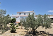 Casa de campo con terreno en venta en Tabernas ref: TR419212 foto