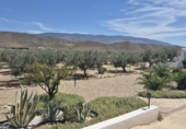 Casa de campo con terreno en venta en Tabernas ref: TR419212 foto