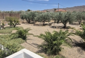 Foto 15