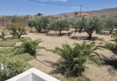 Casa de campo con terreno en venta en Tabernas ref: TR419212 foto