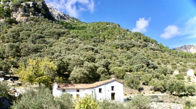Cádiz - Grazalema - 9m2