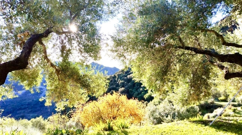 Cádiz - Grazalema - 9m2
