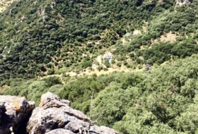 Foto 14