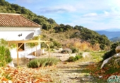 Finca rústica en venta en Grazalema ref: TR21449 foto
