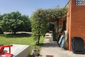 Foto 7