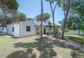 Xalet independent amb terreny en lloguer a Marbella ref.: TR419230 foto