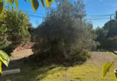 Suelo urbano en venta en la Passatge de la Dàlia, Pallejà, ref: TR419236 foto