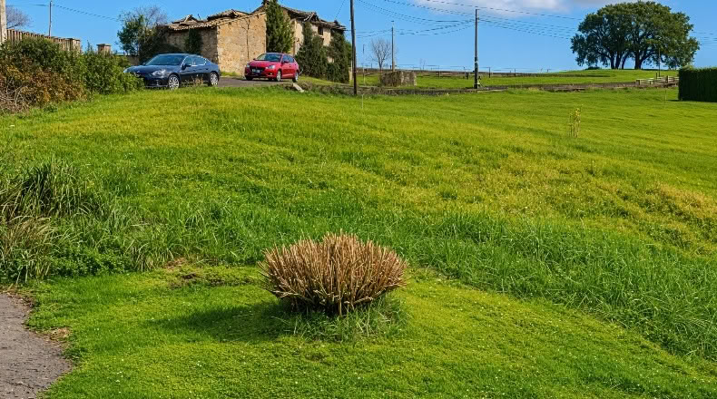 Cantabria - Camargo - 1435m2