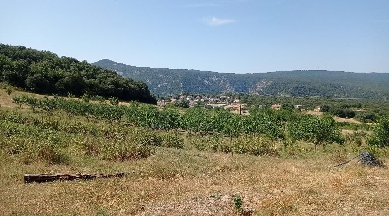 Navarra - Gollano - 30000m2