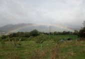 Land with greenhouse for sale on , Gollano, ref: TR419241 photo