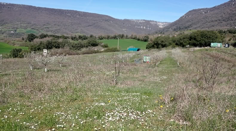 Navarra - Gollano - 30000m2