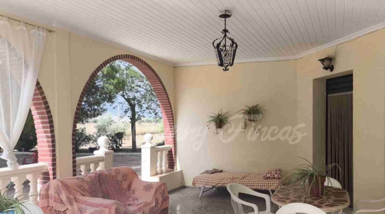 Murcia - Yecla - 3700m2