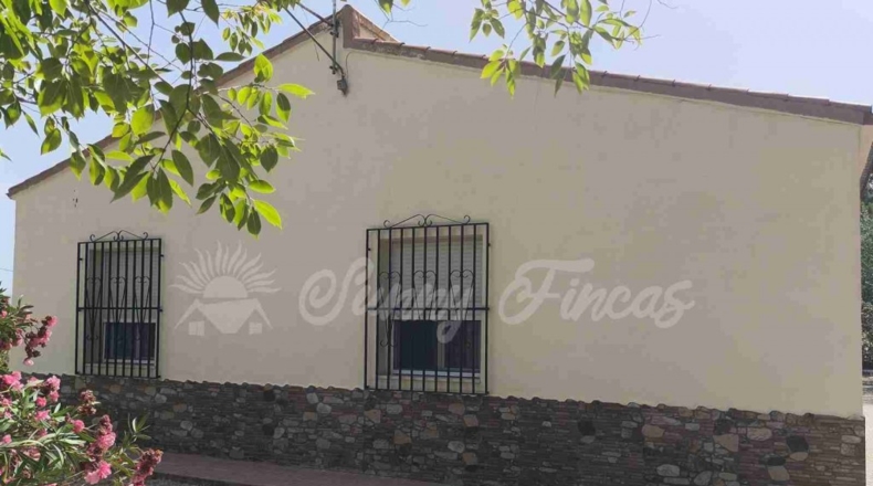 Murcia - Yecla - 3700m2