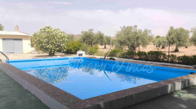 Murcia - Yecla - 3700m2