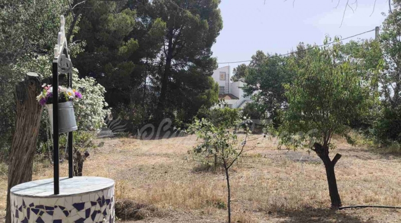 Murcia - Yecla - 3700m2