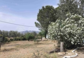 Chalet independiente con terreno en venta en Yecla ref: TR419254 foto