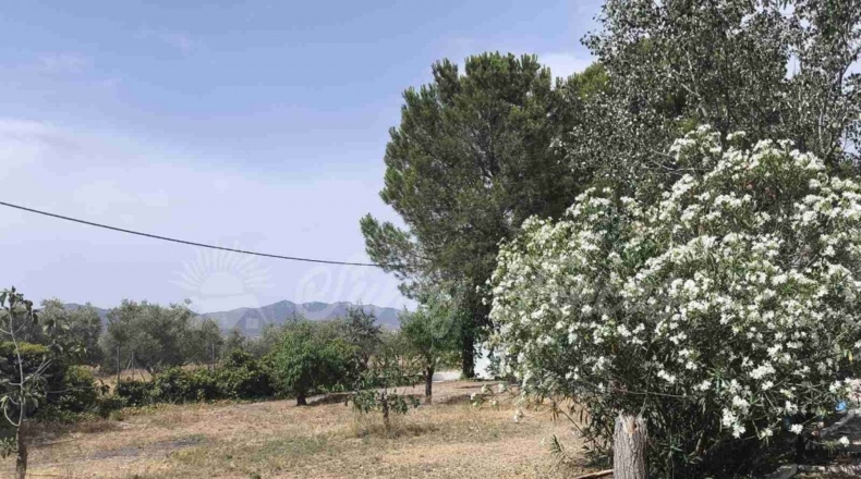 Murcia - Yecla - 3700m2