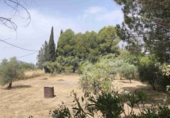 Chalet independiente con terreno en venta en Yecla ref: TR419254 foto