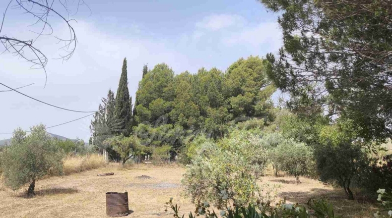 Murcia - Yecla - 3700m2