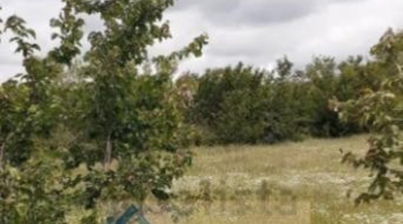 Segòvia - Santo Tomé del Puerto - 490m2