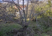 Chalet independiente con terreno en venta en la España, Becerril de la Sierra, ref: TR419276 foto