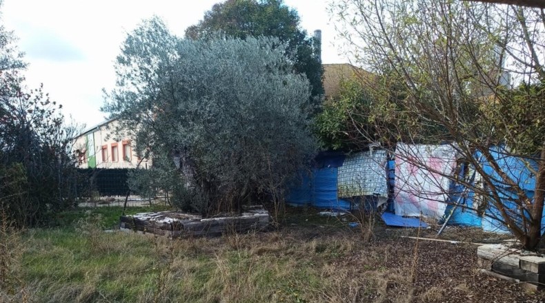 Valladolid - Pesquera de Duero - 299m2