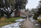 Chalet independiente con terreno en venta en la España, Ituero y Lama, ref: TR419277 foto