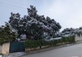 Chalet independiente con terreno en venta en la España, Ituero y Lama, ref: TR419277 foto